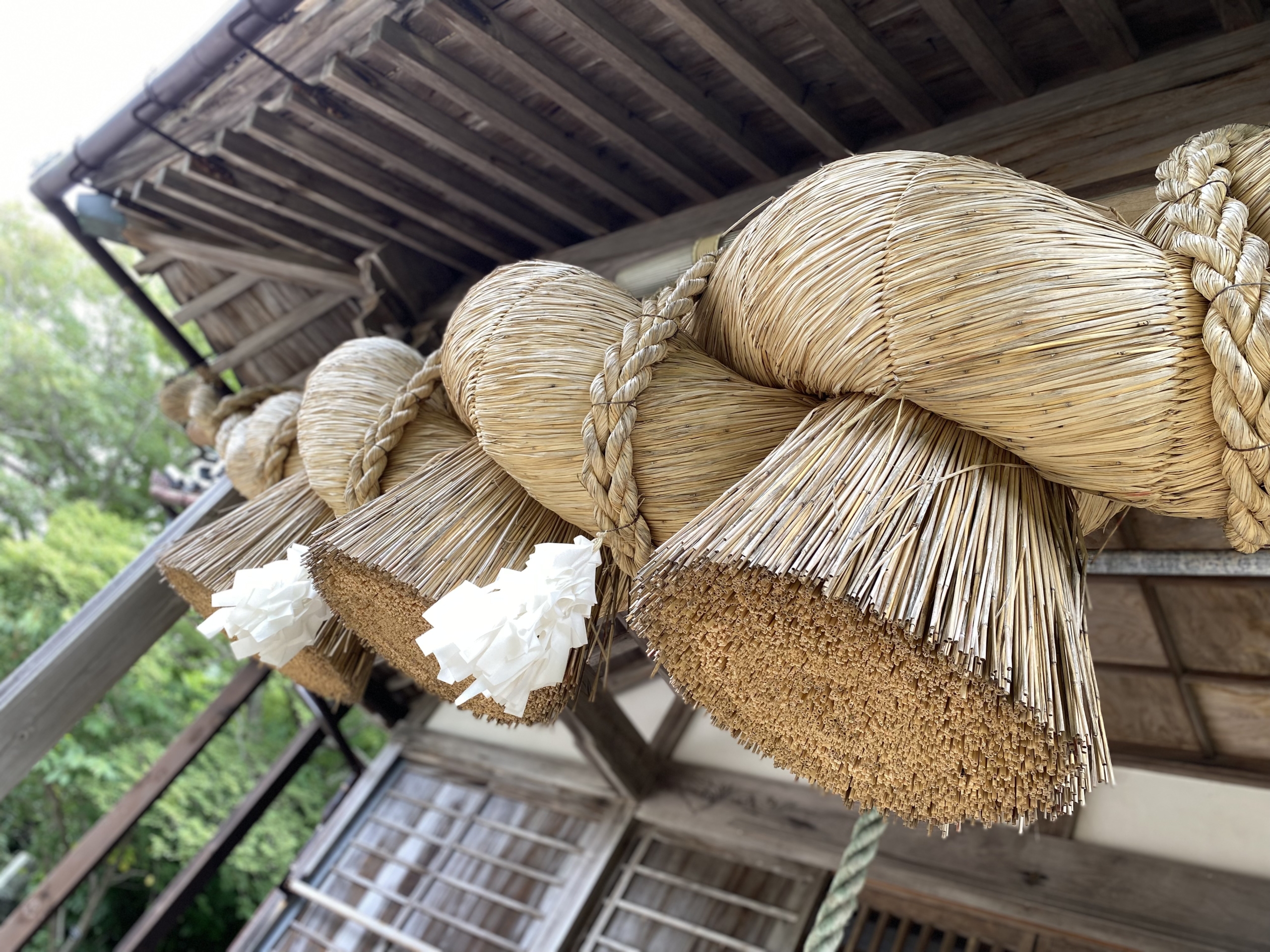 【移住者体験記】秋の神社巡りツアー、実際に体験してみた ～知夫