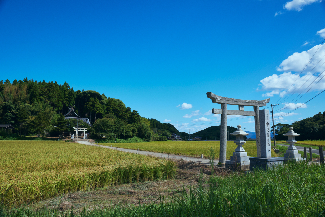 【秋】“神々の島 隠岐”その歴史と文化に迫る隠岐4島史跡めぐり（2泊3日）